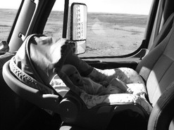 Truck Driver Forced To Drive With Baby Seat In Semi Truck! Is It Illegal To  Be A Short Driver? 